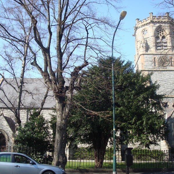 St. Bartholomew's, Dublin